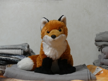 Unnamed 16 (Red Fox, Wild Republic)